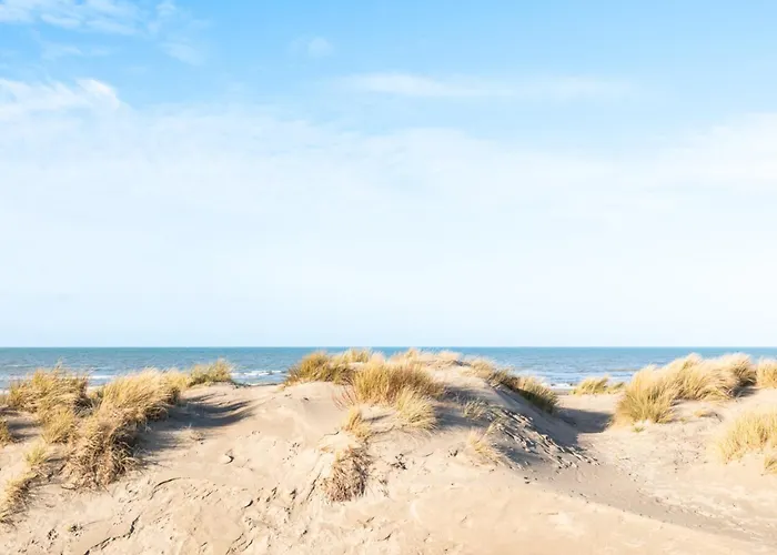 Family In Apartman Oostduinkerke